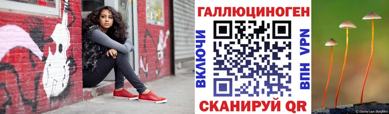 что такое   Ахтырский  Псилоцибиновые грибы Cubensis 